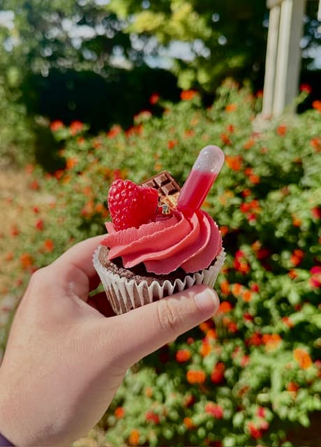 Chocolate raspberry cupcake with decorative frosting