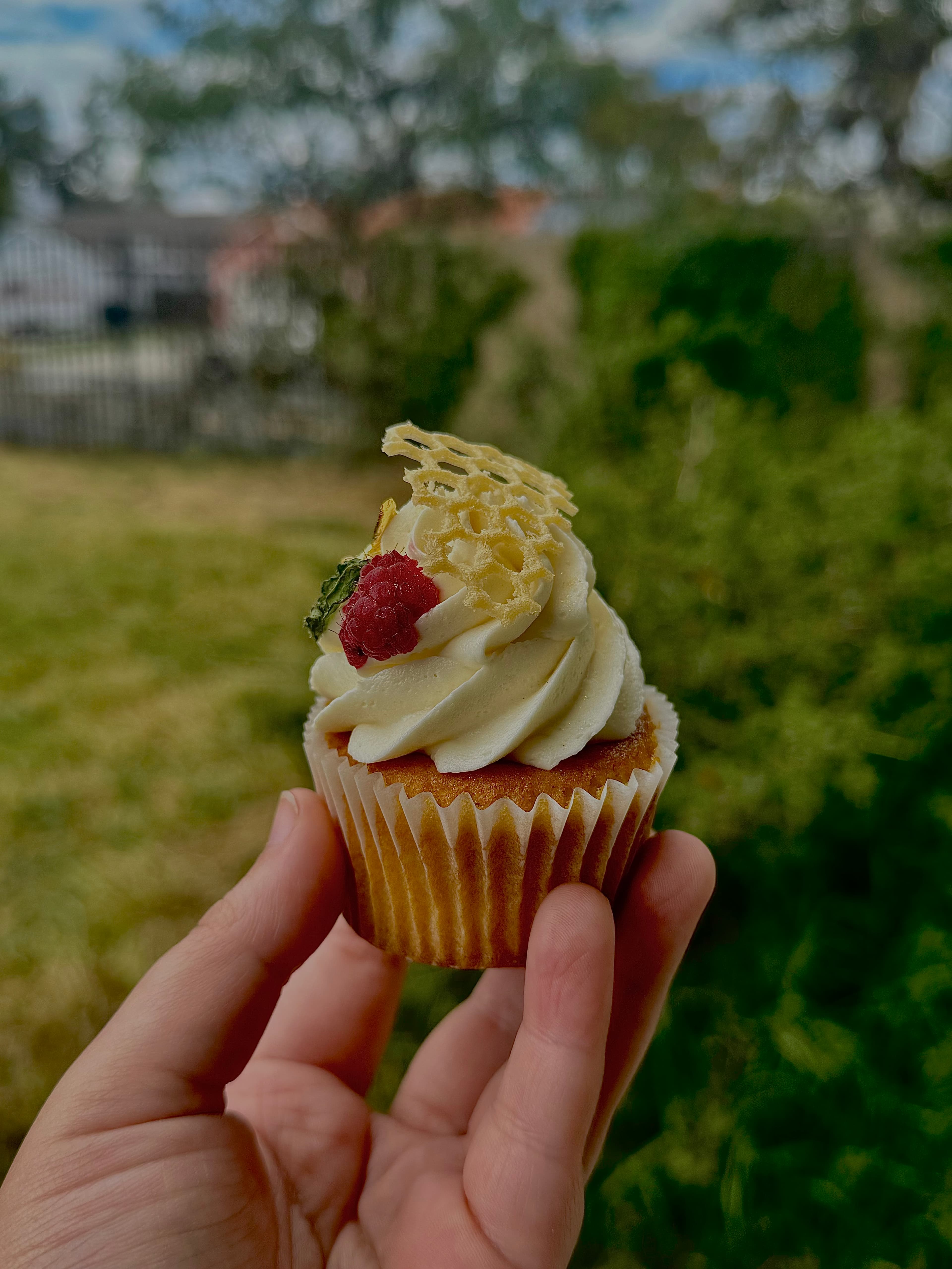Hand holding a honey cupcake topped with cream, raspberry, and honeycomb