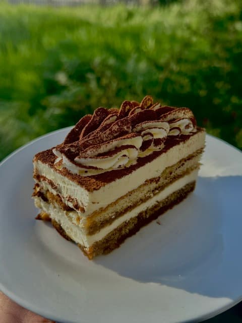 Slice of layered tiramisu with piped cream and cocoa